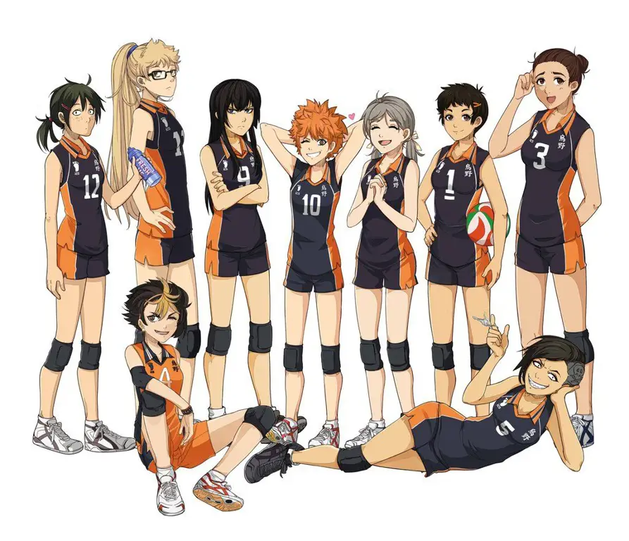 Tim voli SMA Karasuno Karakter-karakter dalam anime Haikyuu!!