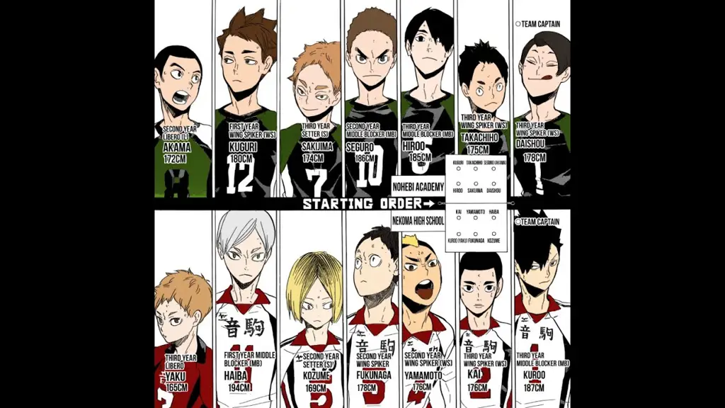 Persahabatan dan Kerja Sama Tim Karakter dalam anime Haikyuu!!