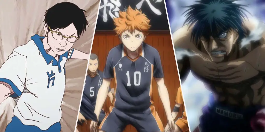 Rekomendasi Anime Sport Terbaru dengan Grafis Memukau!