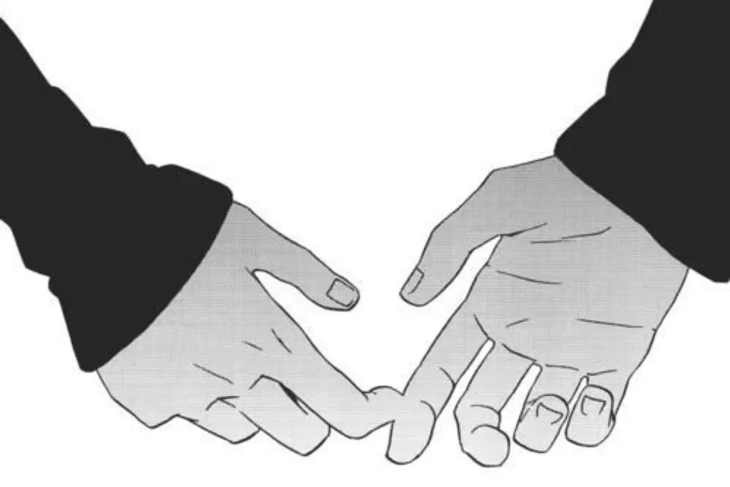 Persahabatan dan cinta dalam anime Karakter anime bergandengan tangan