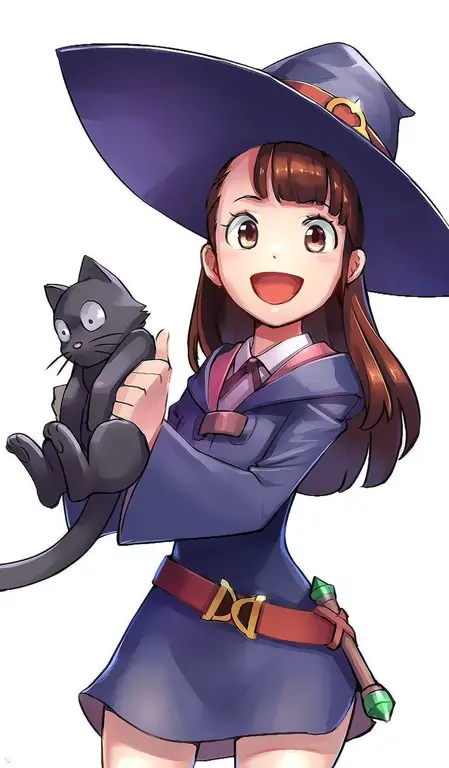 Kegembiraan Sihir di Little Witch Academia Gambar anime Little Witch Academia