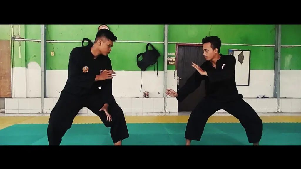Teknik-teknik Dasar Pencak Silat Gambar berbagai teknik pencak silat