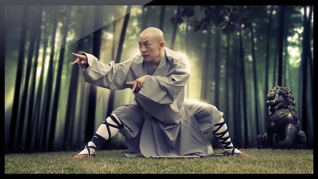 Kekayaan Budaya yang Tersaji dalam Anime Silat Ilustrasi seni bela diri tradisional Tiongkok